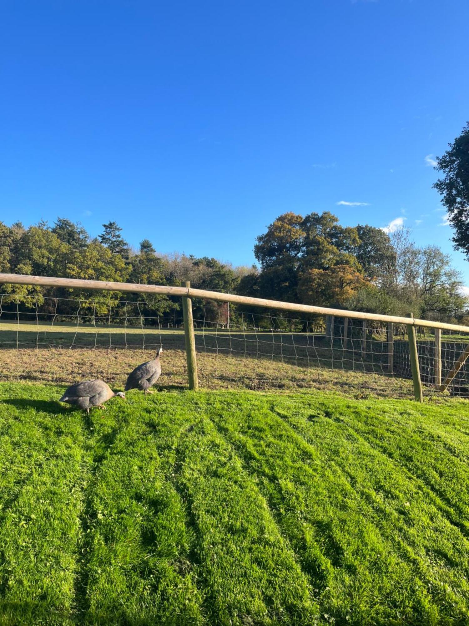 The Old Bull Pen Villa Abergavenny ภายนอก รูปภาพ
